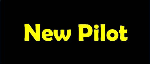Cadet Pilot
